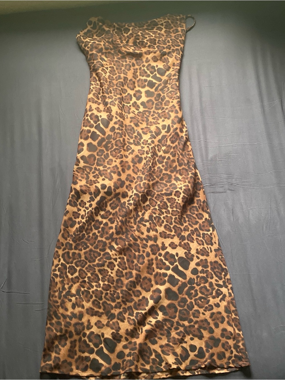 Leopard Print Maxi Slip Dress in Brown